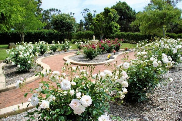 Memorial Rose Garden